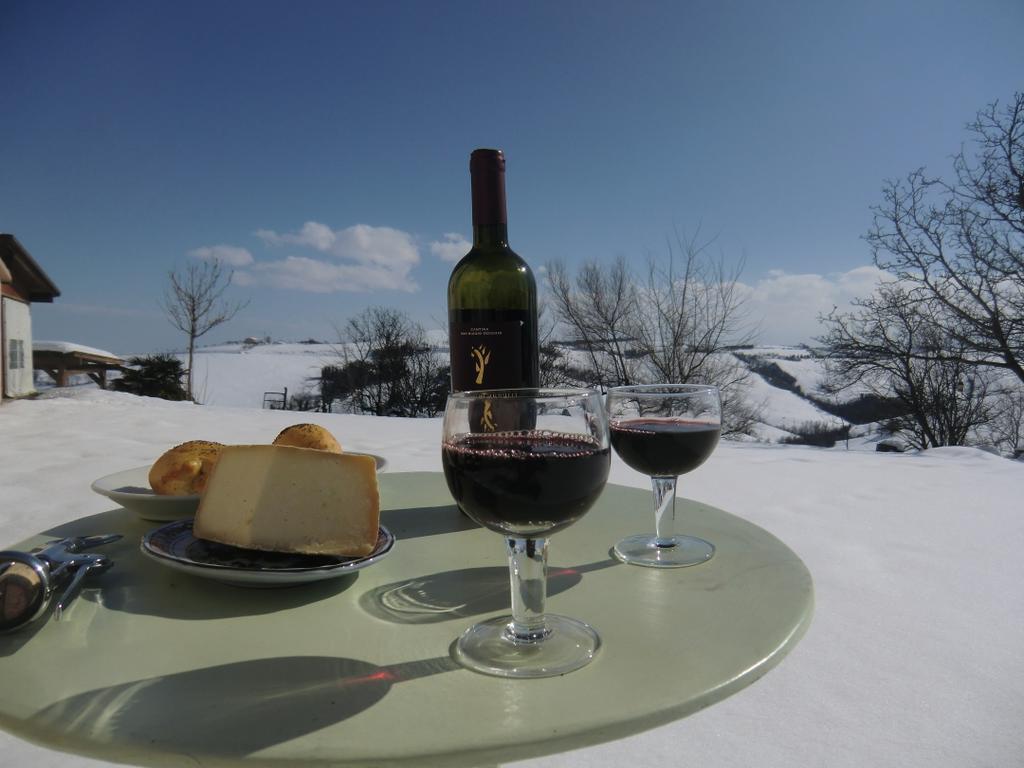 Agriturismo Ca'De'Gatti Faenza Εξωτερικό φωτογραφία