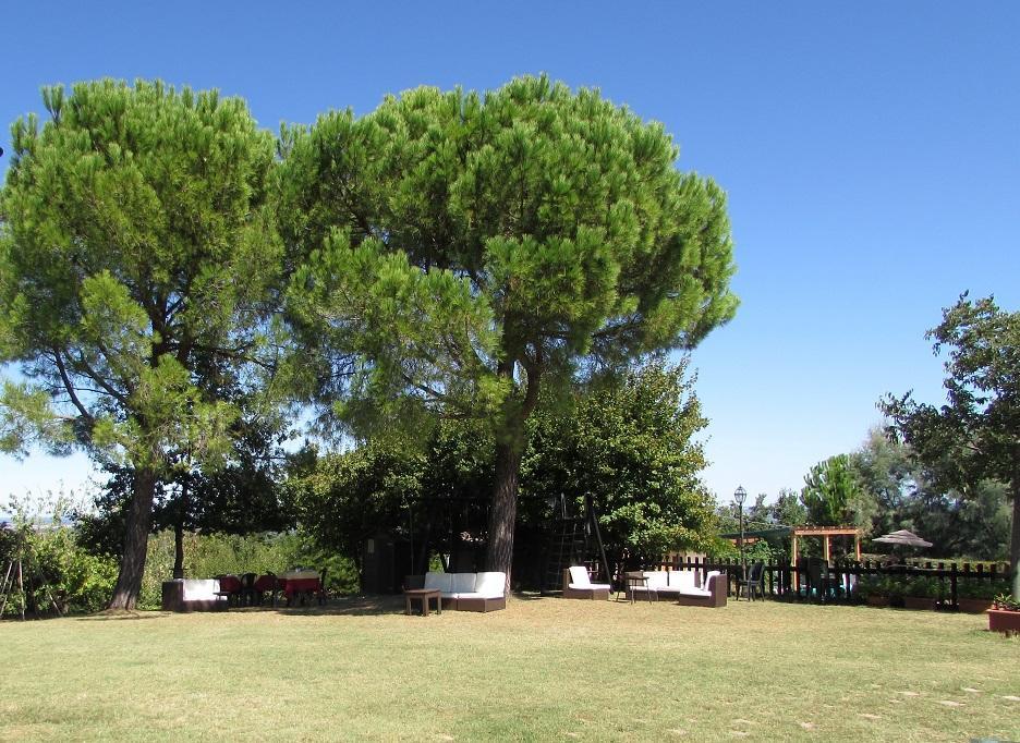 Agriturismo Ca'De'Gatti Faenza Εξωτερικό φωτογραφία