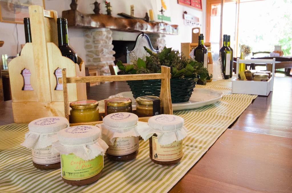 Agriturismo Ca'De'Gatti Faenza Εξωτερικό φωτογραφία