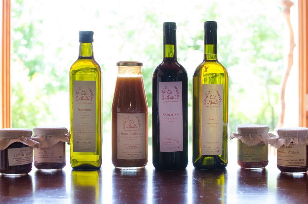 Agriturismo Ca'De'Gatti Faenza Εξωτερικό φωτογραφία