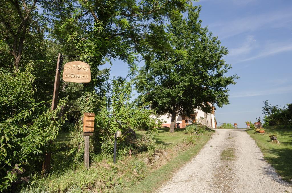 Agriturismo Ca'De'Gatti Faenza Εξωτερικό φωτογραφία