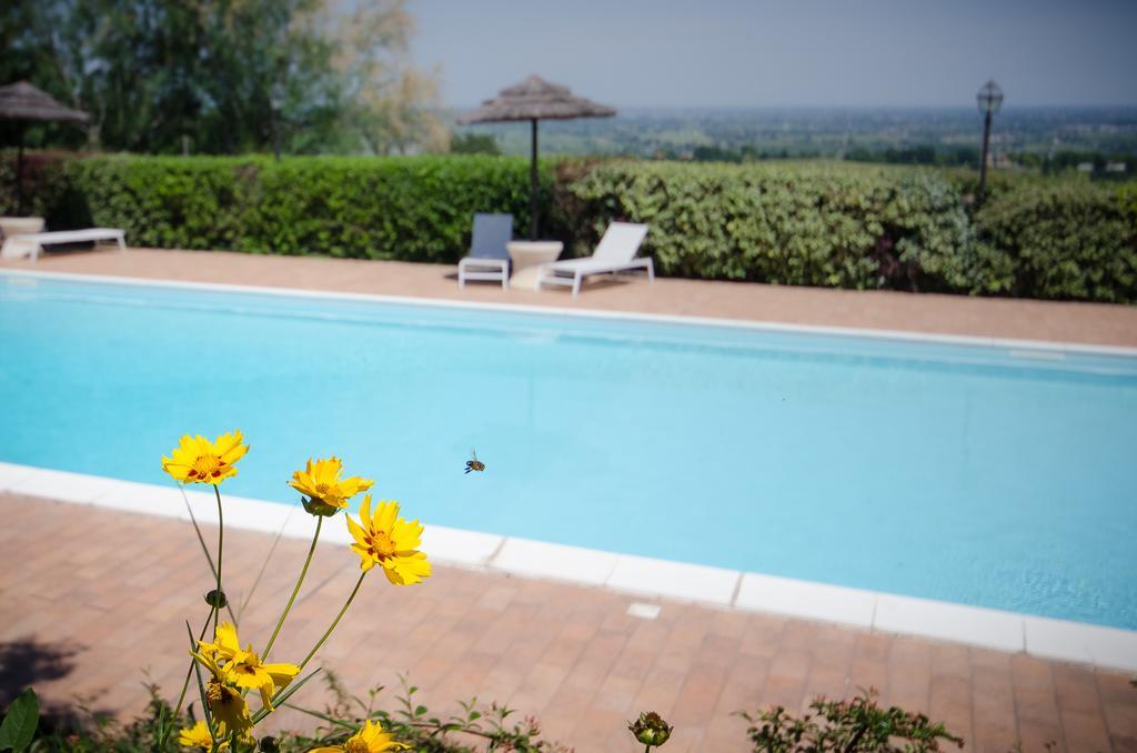 Agriturismo Ca'De'Gatti Faenza Εξωτερικό φωτογραφία