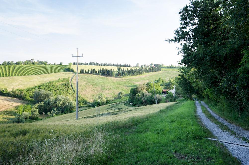 Agriturismo Ca'De'Gatti Faenza Εξωτερικό φωτογραφία
