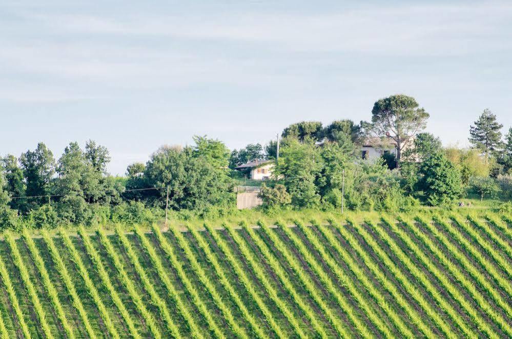 Agriturismo Ca'De'Gatti Faenza Εξωτερικό φωτογραφία